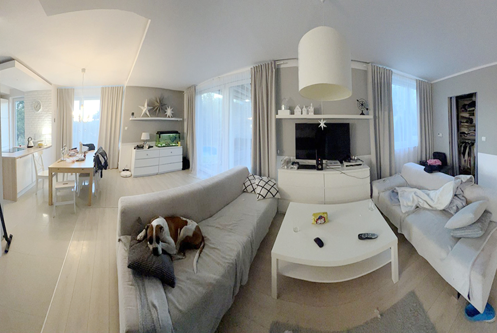 fragment salonu w luksusowej willi na sprzedaż Wałbrzych (okolice)