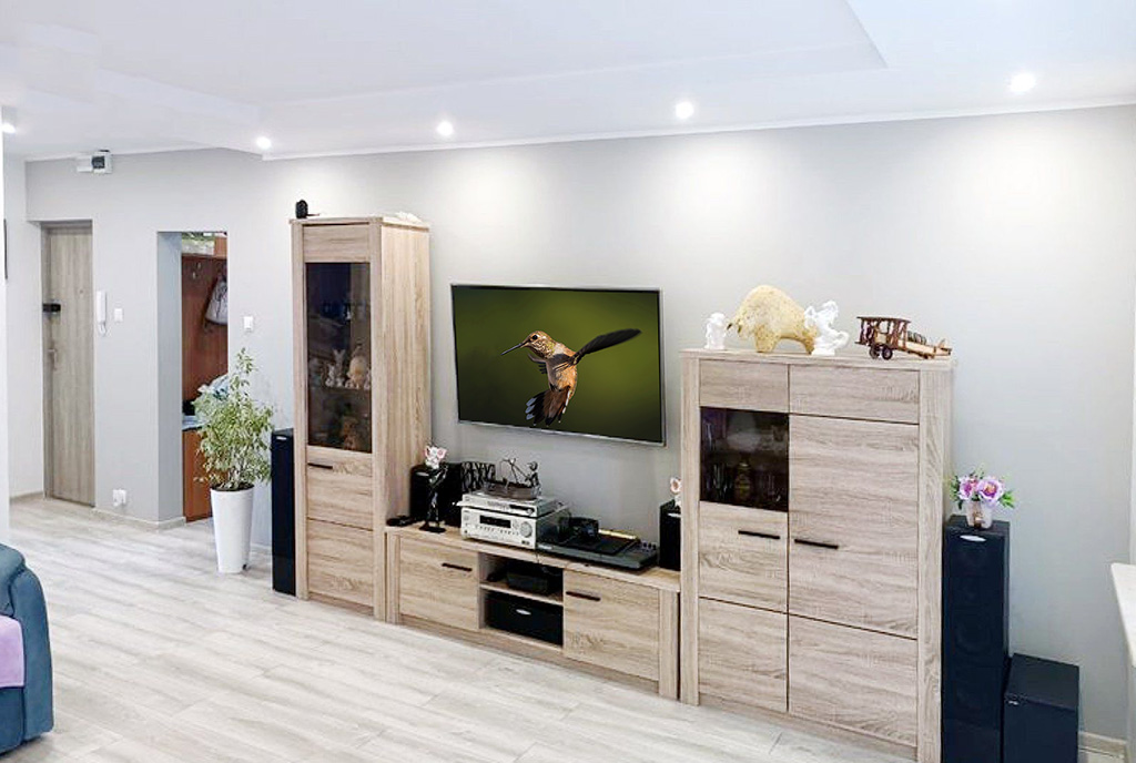 kącik RTV w salonie luksusowego apartamentu na sprzedaż Gdańsk