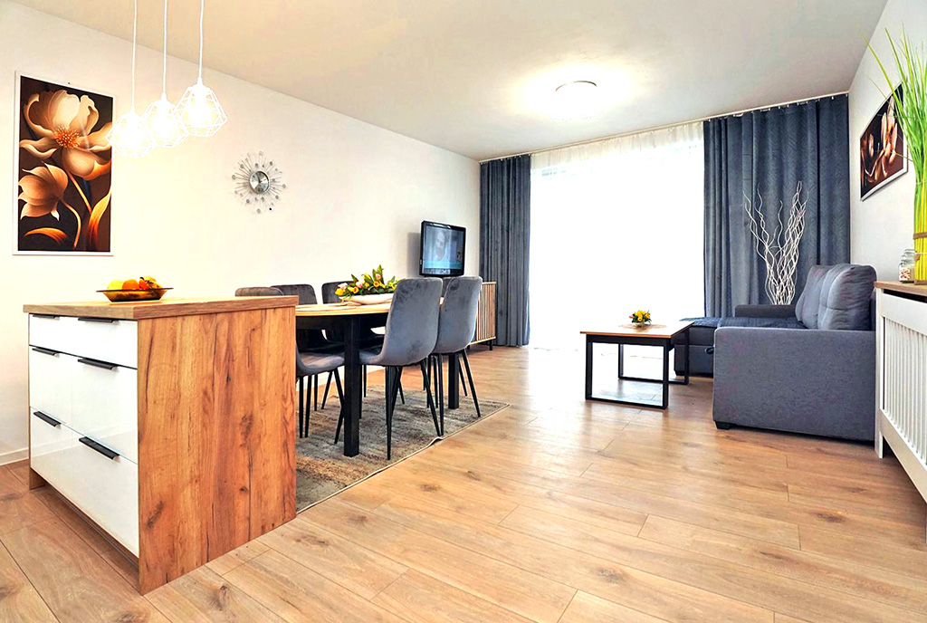 nowoczesny salon w ekskluzywnym apartamencie do wynajęcia Piotrków Trybunalski