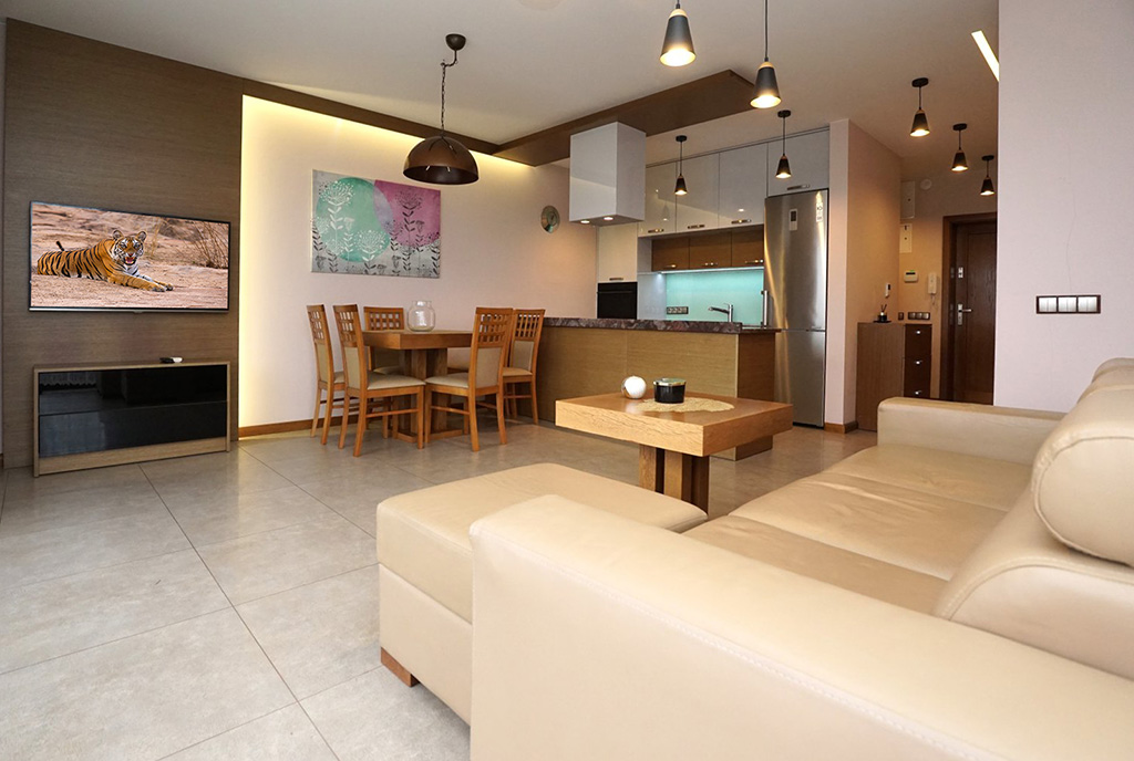 nowoczesny salon w ekskluzywnym apartamencie do wynajęcia Piotrków Trybunalski