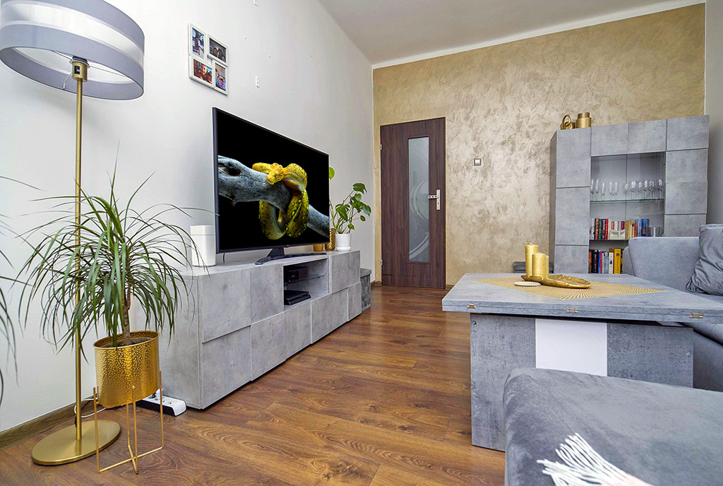 komfortowy salon w ekskluzywnym apartamencie do sprzedaży Katowice (okolice)
