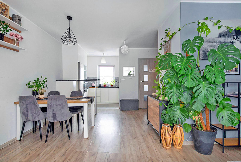 pełne zieleni wnętrze ekskluzywnej willi do sprzedaży Gdynia (okolice)