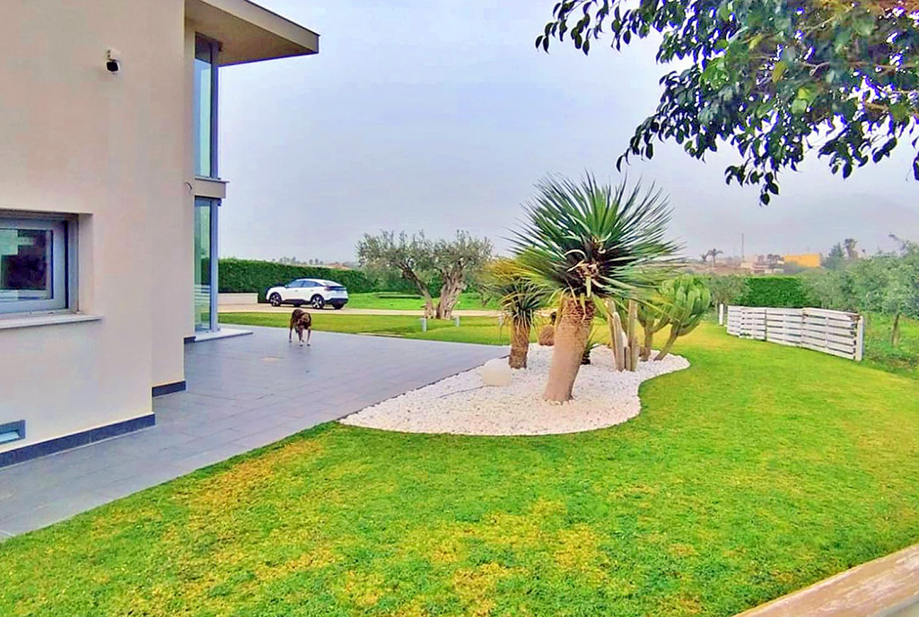 działka z palmami wokół ekskluzywnej willi na sprzedaż Włochy Palermo