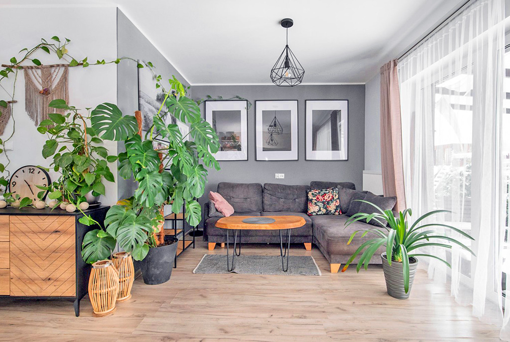 dużo zieleni w luksusowej willi na sprzedaż Gdynia (okolice)