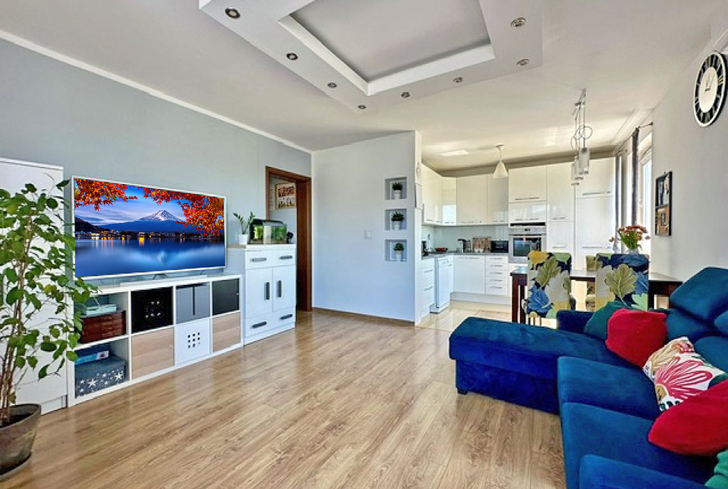 nowoczesny salon w ekskluzywnym apartamencie do sprzedaży Gdańsk (okolice)