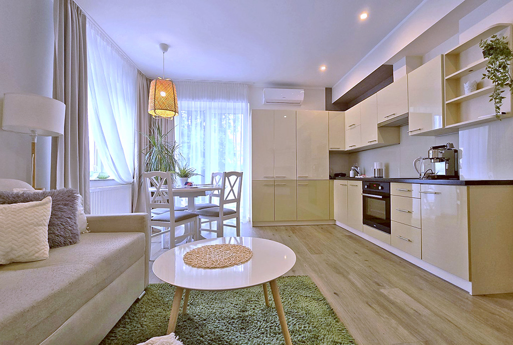 widok na pokój dzienny oraz aneks kuchenny w luksusowym apartamencie na sprzedaż Bielsko-Biała (okolice)