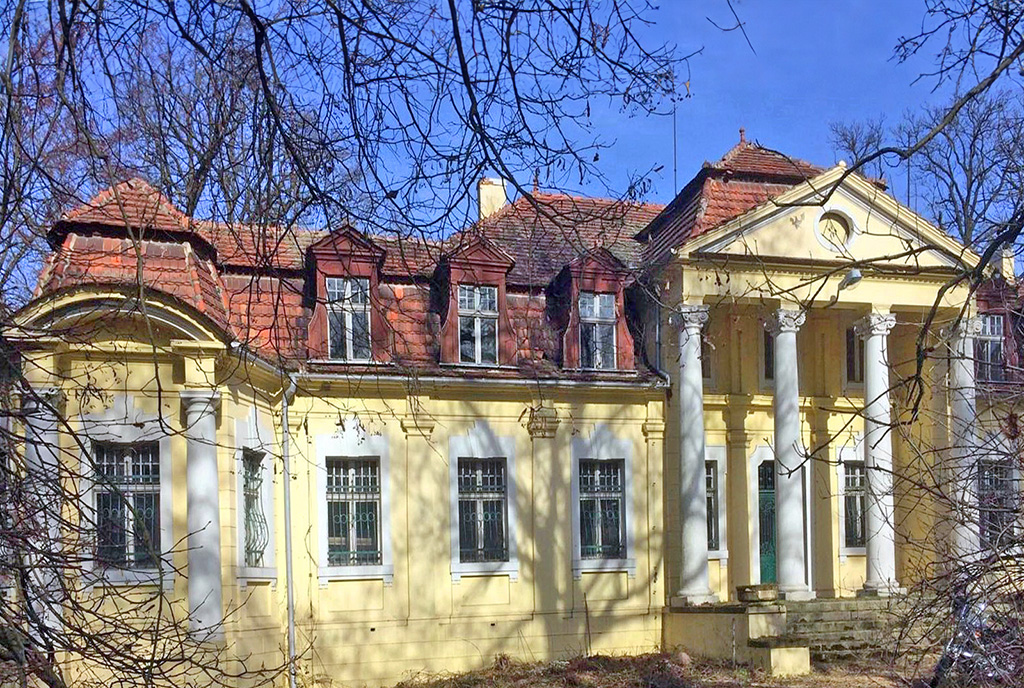 reprezentacyjne wejście do luksusowego pałacu na sprzedaż Wielkopolska
