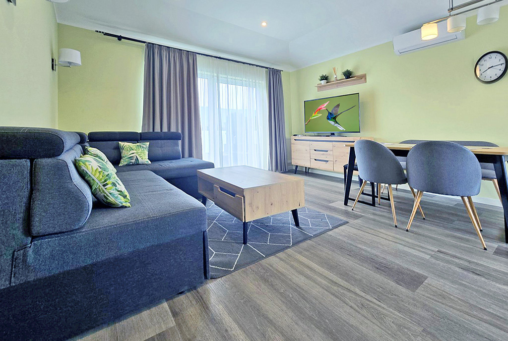 widok na salon w luksusowej willi na sprzedaż Bielsko-Biała (okolice)