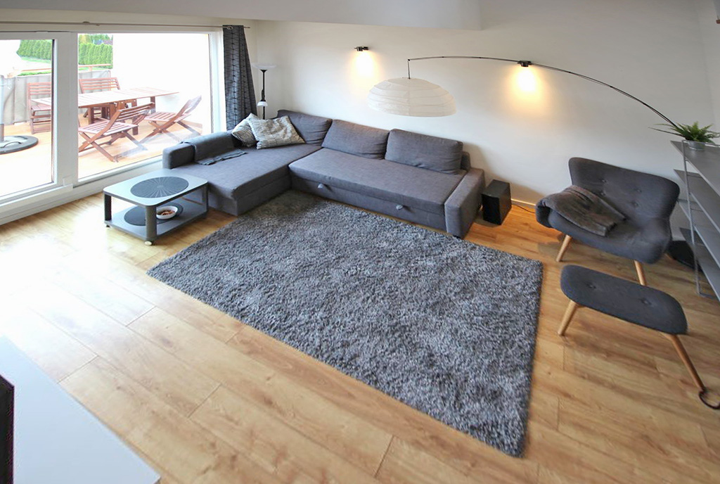 fragment pokoju dziennego w luksusowym apartamencie na wynajem Szczecin (okolice)