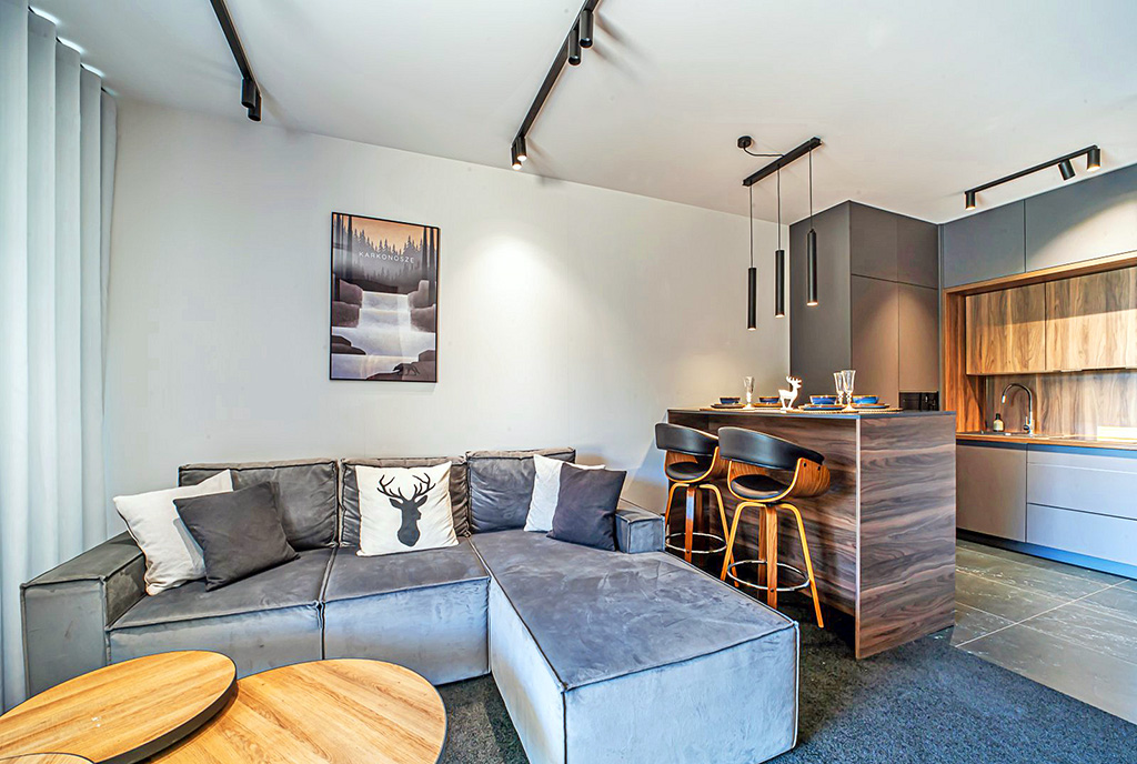 po lewej pokój dzienny, po prawej aneks kuchenny w luksusowym apartamencie na sprzedaż Jelenia Góra (okolice)