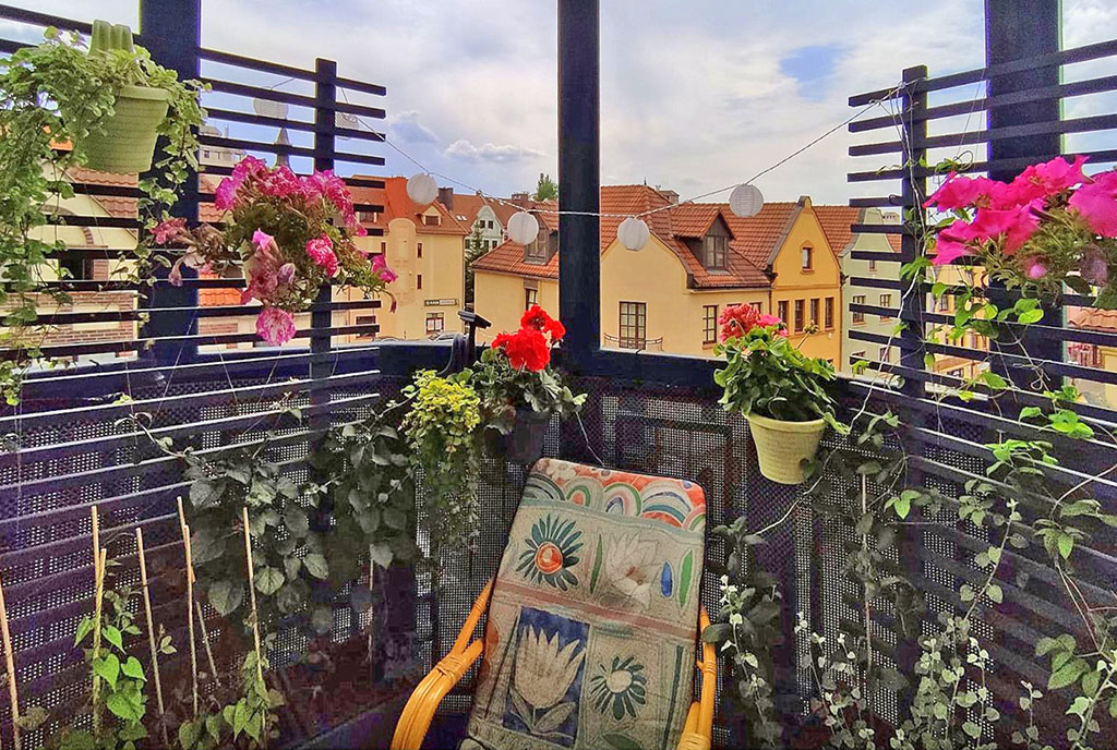 kwiaty na balkonie ekskluzywnego apartamentu na wynajem Legnica (okolice)