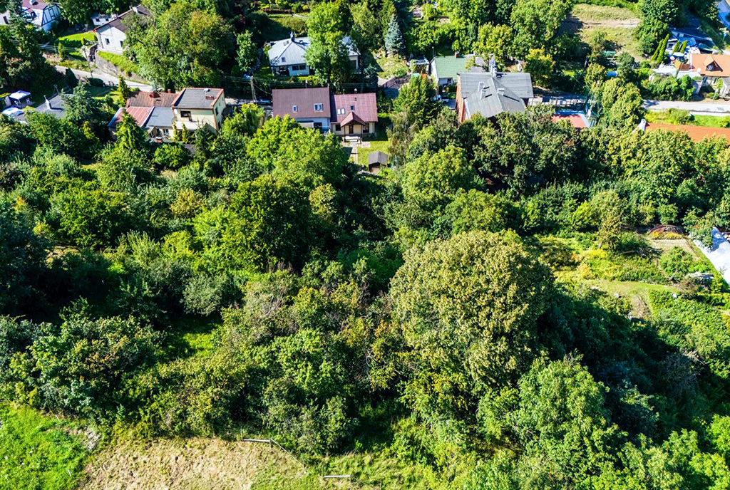 zieloma okolica, w której znajduje się oferowana do sprzedaży luksusowa willa Gdańsk