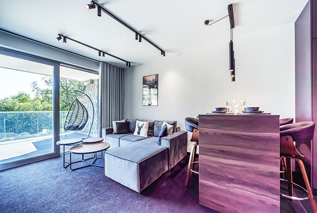 gutownie zaaranżowany salon w luksusowym apartamencie na sprzedaż Jelenia Góra okolice