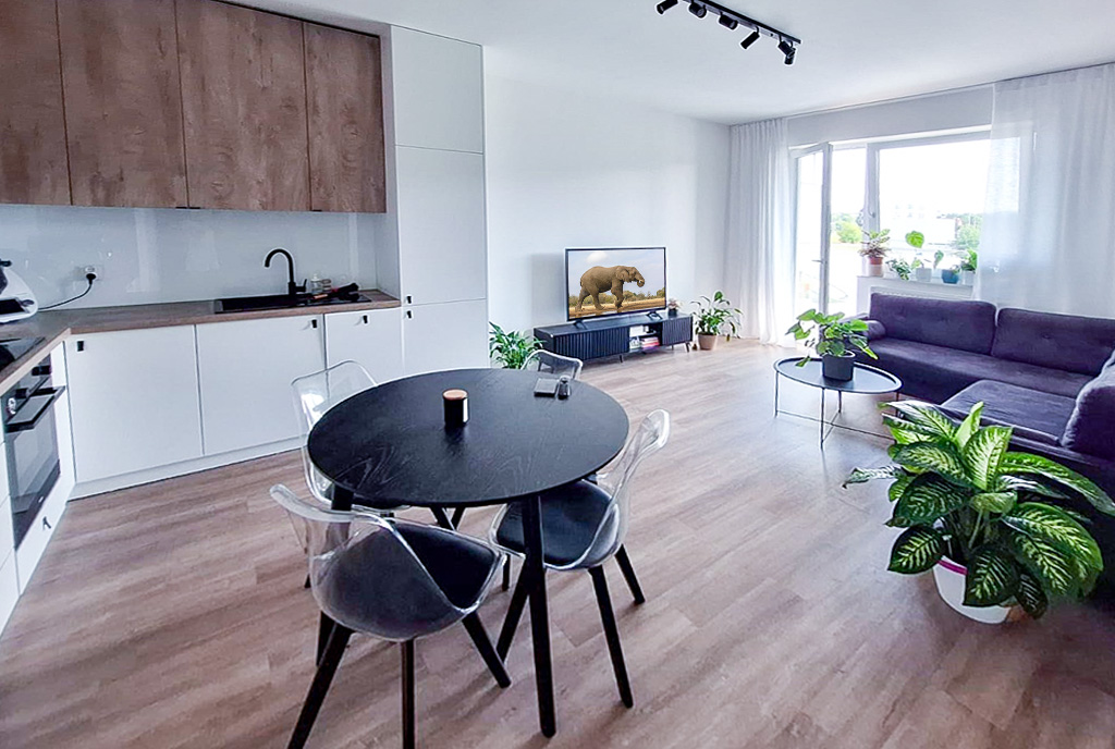 elegancki pokój dszienny w ekskluzywnym apartamencie do wynajęcia Wałbrzych (okolice)