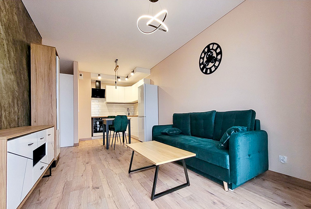 widok na salon w ekskluzywnym apartamencie do wynajęcia Kwidzyn