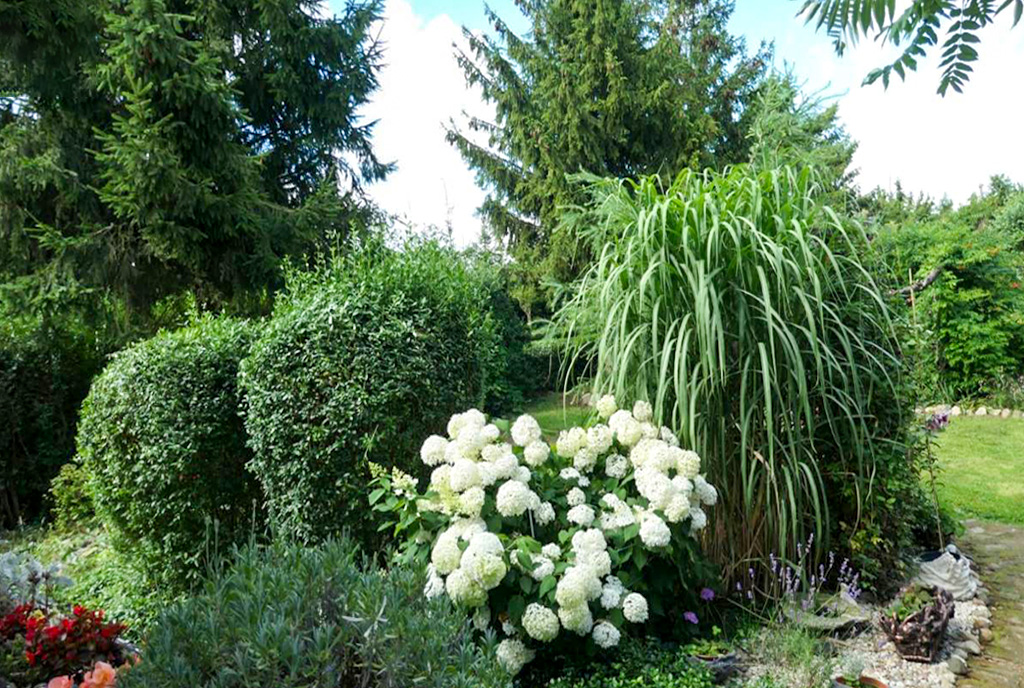 zadbana i zagospodarowana działka wokół ekskluzywnej willi na sprzedaż Kwidzyn