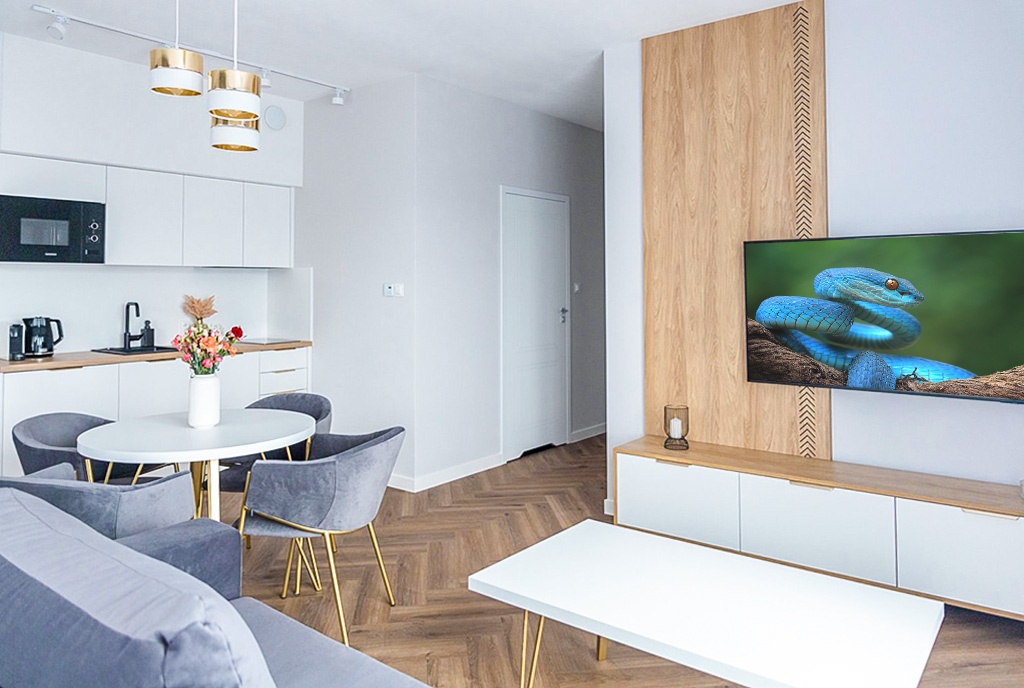 nowoczesny projekt wnętrza ekskluzywnego apartamentu do sprzedaży Kłodzko okolice