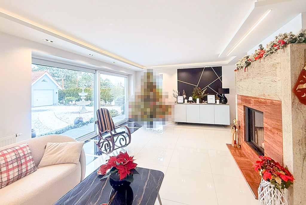 wytworny salon w luksusowej willi na sprzedaż Opole okolice