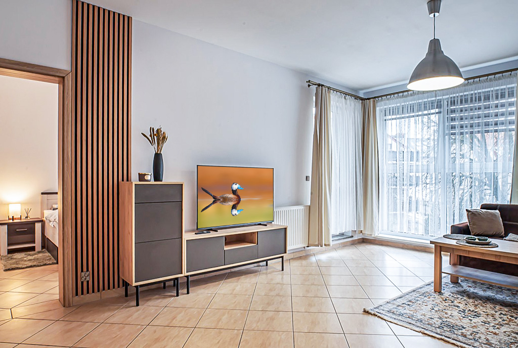 widok na salon w luksusowym apartamencie do wynajmu Bolesławiec