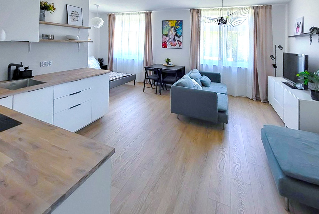 fragment pokoju dziennego w luksusowym apartamencie do wynajmu Bielsko-Biała okolice