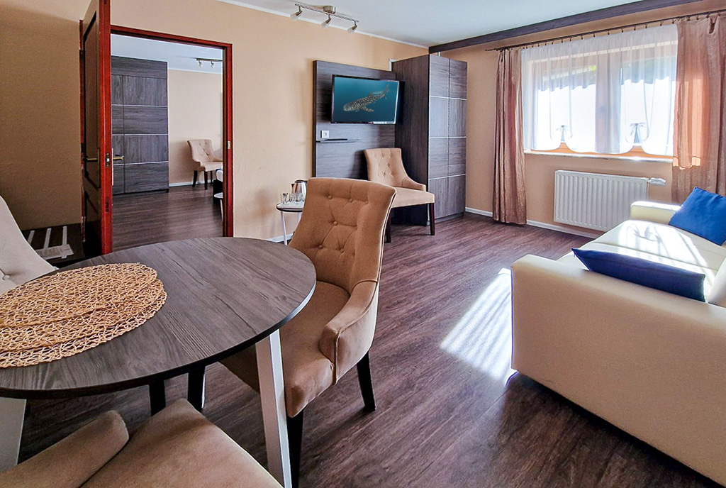 komfortowy salon w luksusowym domu na sprzedaż Bielsko-Biała okolice