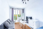 nowoczesny salon w ekskluzywnym apartamencie do wynajęcia Szczecin