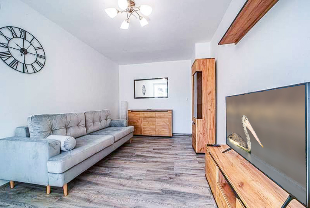 fragment salonu w ekskluzywnym apartamencie do wynajęcia Bolesławiec