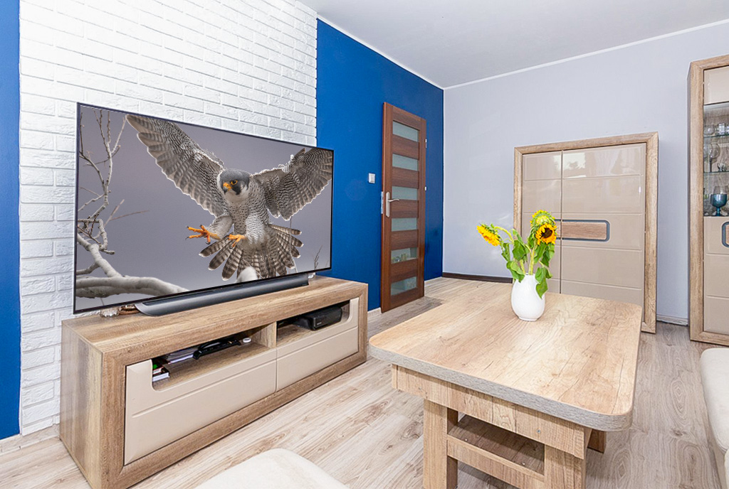 zbliżenie na salon w ekskluzywnym apartamencie do sprzedaży Katowice okolice