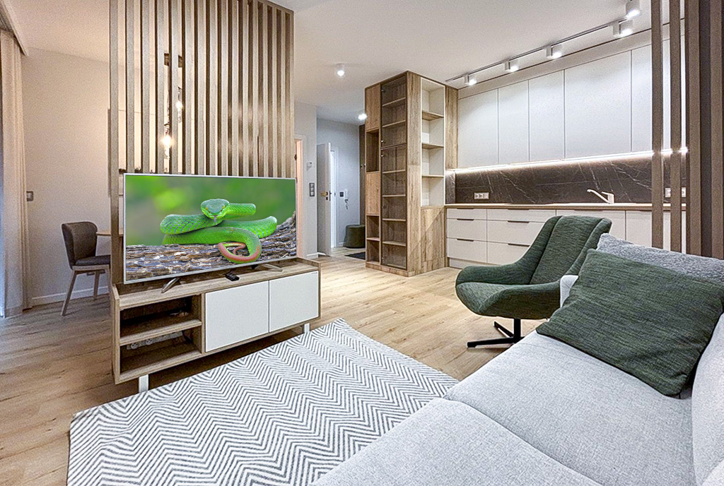 zaprojektowany w nowoczesnym stylu salon w ekskluzywnym apartamencie na wynajem Szczecin